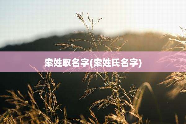 索姓取名字(索姓氏名字)