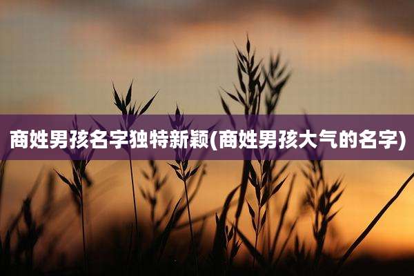商姓男孩名字独特新颖(商姓男孩大气的名字)