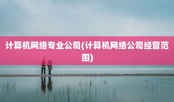 计算机网络专业公司(计算机网络公司经营范围)
