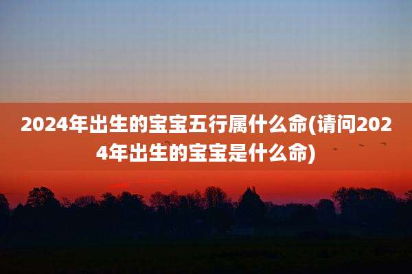 2024年出生的宝宝五行属什么命(请问2024年出生的宝宝是什么命)