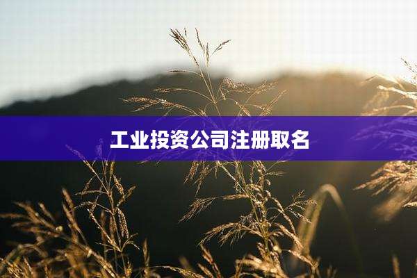 工业投资公司注册取名