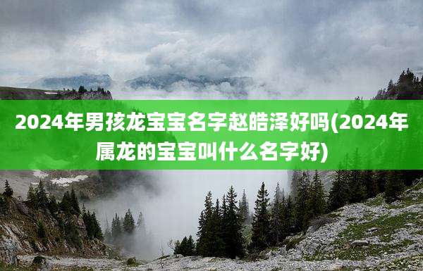 2024年男孩龙宝宝名字赵皓泽好吗(2024年属龙的宝宝叫什么名字好)