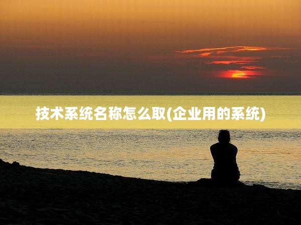 技术系统名称怎么取(企业用的系统)