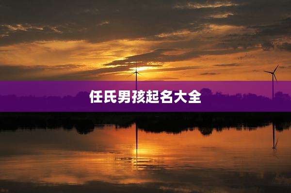 任氏男孩起名大全