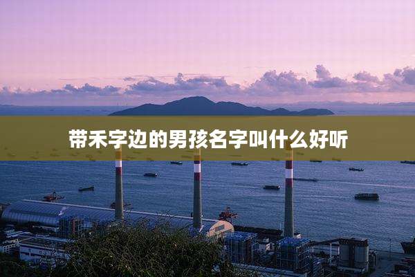 带禾字边的男孩名字叫什么好听