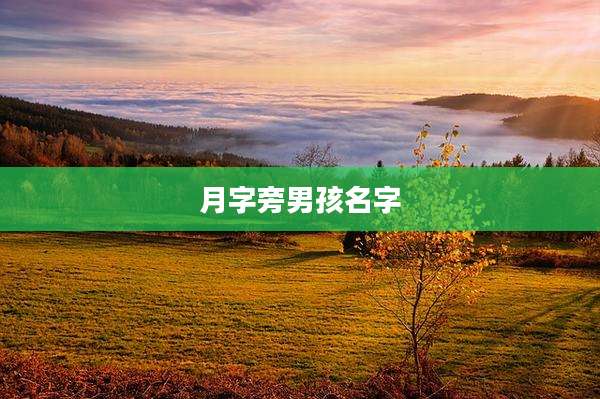 月字旁男孩名字