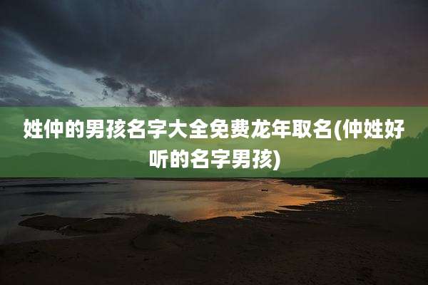 姓仲的男孩名字大全免费龙年取名(仲姓好听的名字男孩)