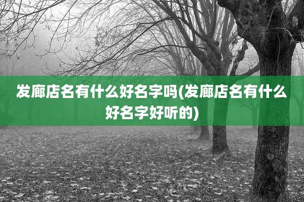 发廊店名有什么好名字吗(发廊店名有什么好名字好听的)