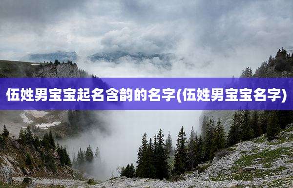 伍姓男宝宝起名含韵的名字(伍姓男宝宝名字)
