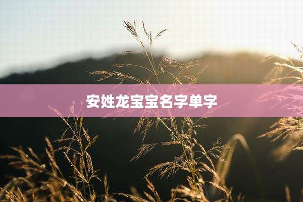 安姓龙宝宝名字单字