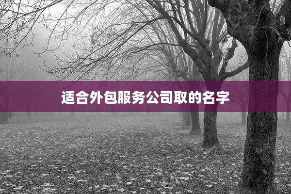 适合外包服务公司取的名字
