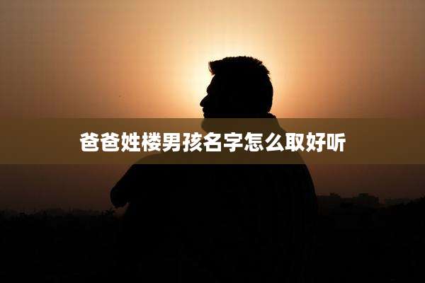 爸爸姓楼男孩名字怎么取好听