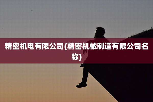 精密机电有限公司(精密机械制造有限公司名称)