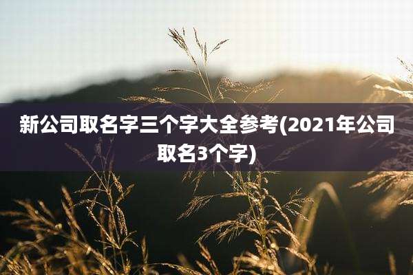 新公司取名字三个字大全参考(2021年公司取名3个字)