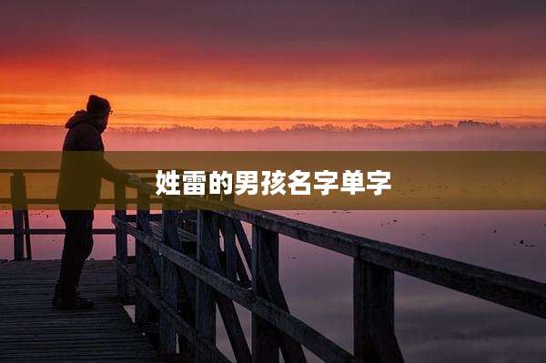 姓雷的男孩名字单字