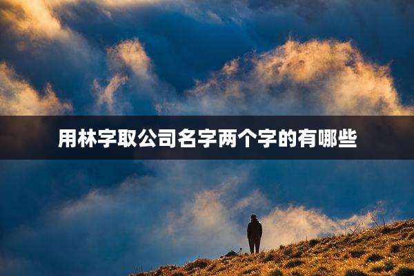 用林字取公司名字两个字的有哪些