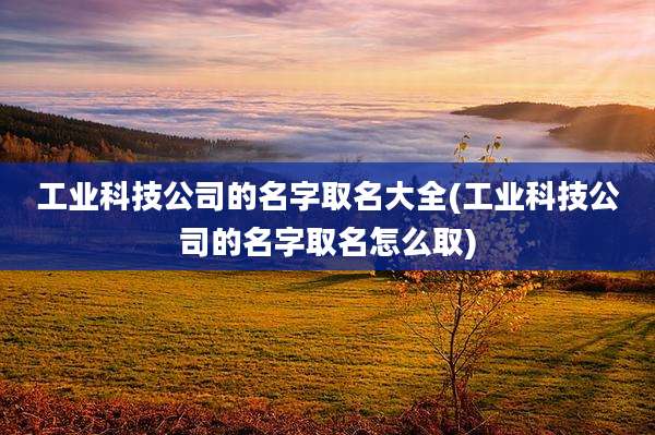 工业科技公司的名字取名大全(工业科技公司的名字取名怎么取)