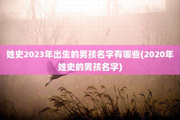 姓史2023年出生的男孩名字有哪些(2020年姓史的男孩名字)