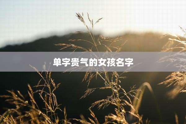 单字贵气的女孩名字