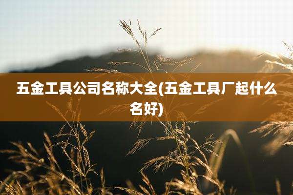 五金工具公司名称大全(五金工具厂起什么名好)