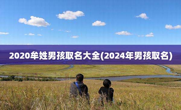 2020牟姓男孩取名大全(2024年男孩取名)