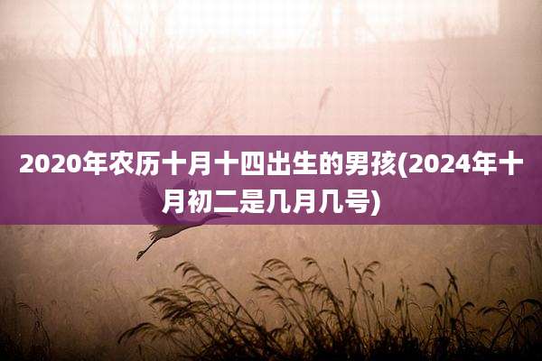 2020年农历十月十四出生的男孩(2024年十月初二是几月几号)