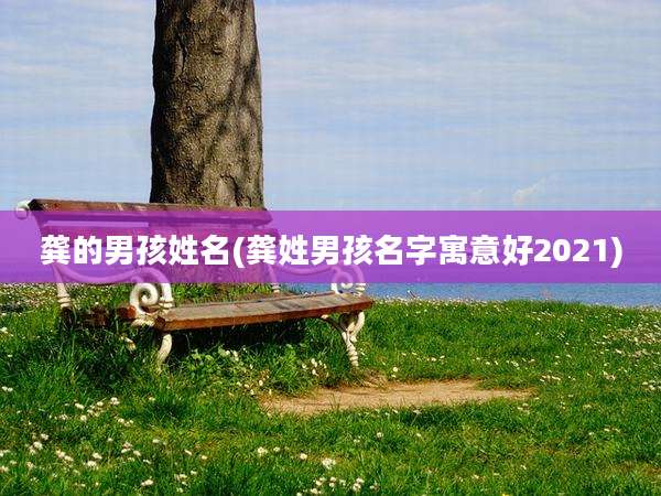 龚的男孩姓名(龚姓男孩名字寓意好2021)