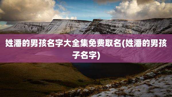 姓潘的男孩名字大全集免费取名(姓潘的男孩子名字)