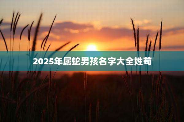 2025年属蛇男孩名字大全姓苟