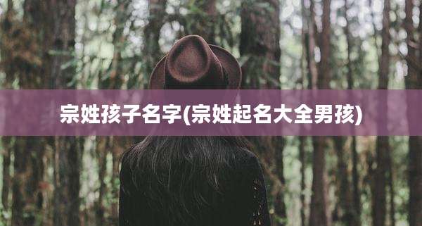 宗姓孩子名字(宗姓起名大全男孩)