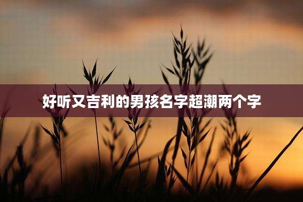 好听又吉利的男孩名字超潮两个字