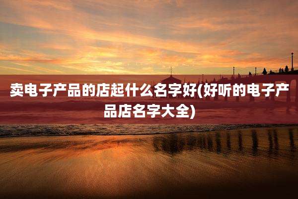 卖电子产品的店起什么名字好(好听的电子产品店名字大全)