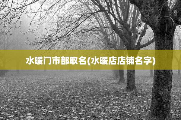 水暖门市部取名(水暖店店铺名字)