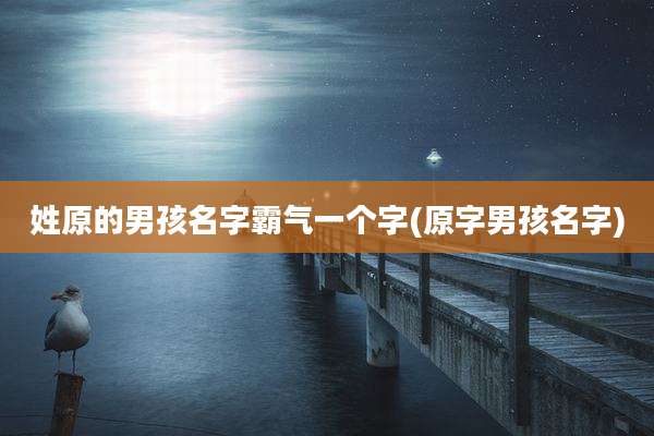 姓原的男孩名字霸气一个字(原字男孩名字)