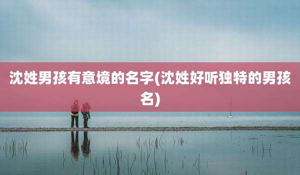沈姓男孩有意境的名字(沈姓好听独特的男孩名)