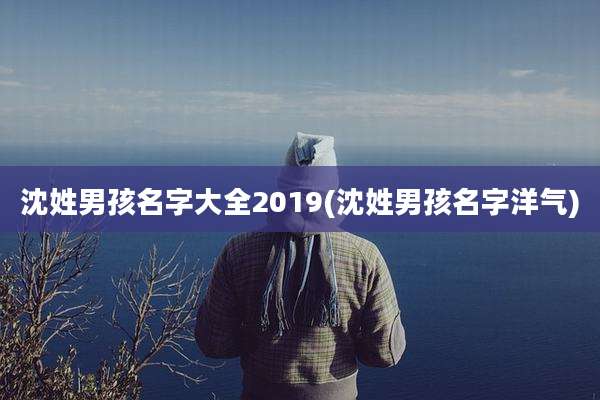 沈姓男孩名字大全2019(沈姓男孩名字洋气)
