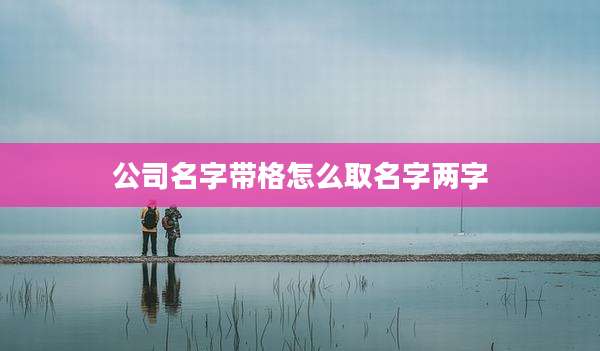 公司名字带格怎么取名字两字