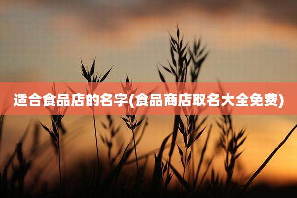 适合食品店的名字(食品商店取名大全免费)