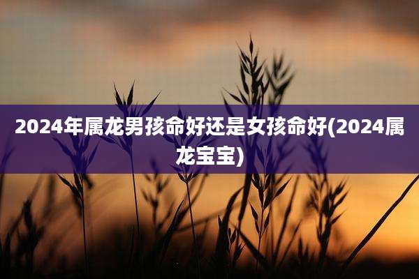 2024年属龙男孩命好还是女孩命好(2024属龙宝宝)