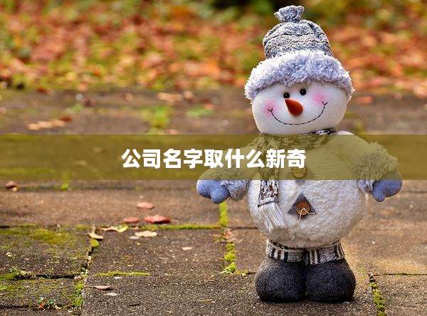 公司名字取什么新奇