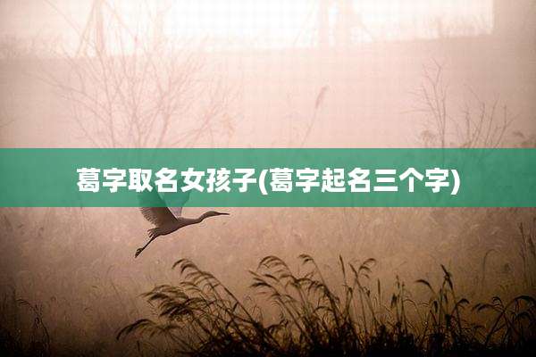 葛字取名女孩子(葛字起名三个字)