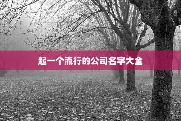 起一个流行的公司名字大全