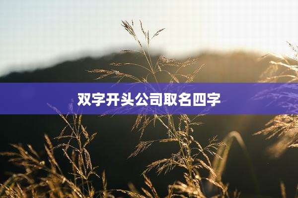 双字开头公司取名四字
