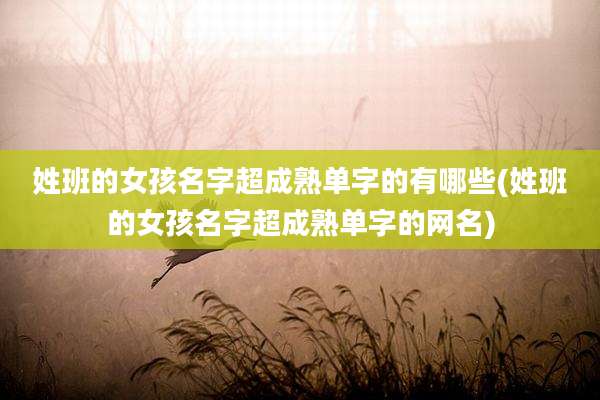 姓班的女孩名字超成熟单字的有哪些(姓班的女孩名字超成熟单字的网名)