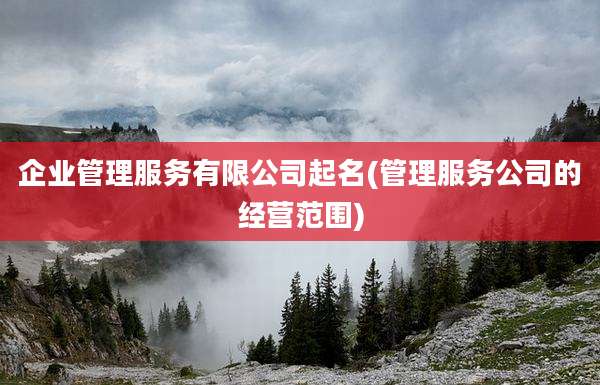 企业管理服务有限公司起名(管理服务公司的经营范围)