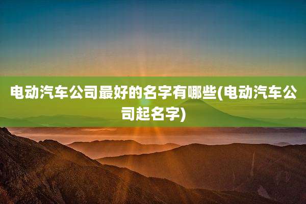 电动汽车公司最好的名字有哪些(电动汽车公司起名字)