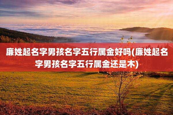 廉姓起名字男孩名字五行属金好吗(廉姓起名字男孩名字五行属金还是木)