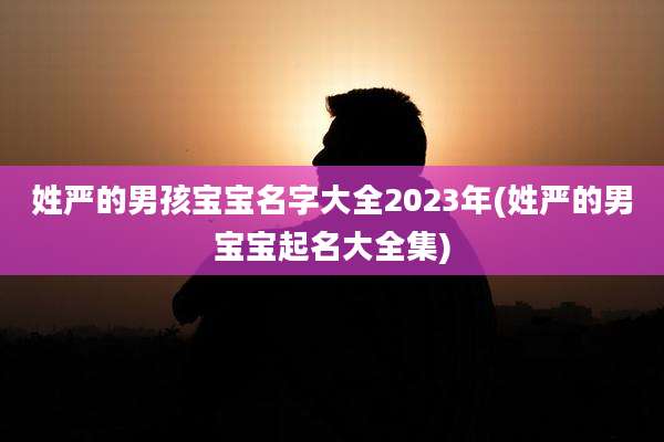 姓严的男孩宝宝名字大全2023年(姓严的男宝宝起名大全集)