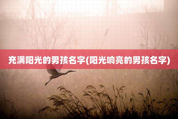 充满阳光的男孩名字(阳光响亮的男孩名字)
