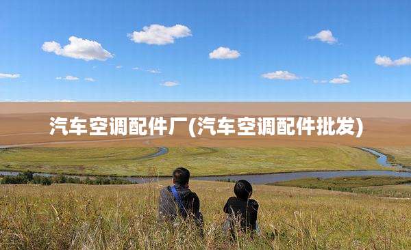 汽车空调配件厂(汽车空调配件批发)